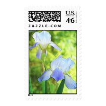 Romantic Blue Irises Postage Stamps