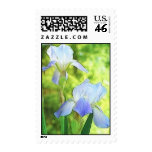 Romantic Blue Irises Postage Stamps