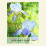 Romantic Blue Irises postcards