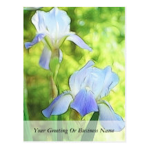 Romantic Blue Irises Postcard