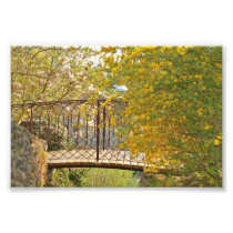 Romantic Bridge - Photo Print