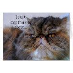 Romantic Calico Persian Kitty Card