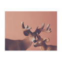 Romantic Deer Postcard