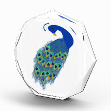 Romantic Elegant Blue Peacock Feathers Awards