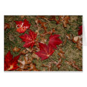 Romantic Fall Card 2 by MarDar Romantic Fall Card 2