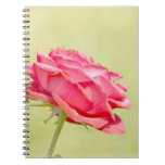 Romantic Garden Flowers Red Rose Spiral Note Books