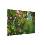 Romantic Garden of Roses Canvas Prints
