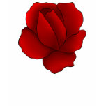 Romantic gothic red rose t shirts