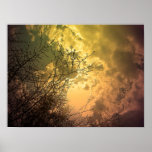Romantic Moments in Toronto Centre Island Print