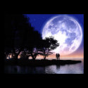 Romantic Moonlight