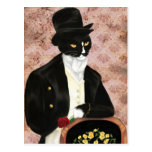 Romantic Mr Darcy Cat postcard