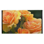 Romantic Peach Rose Floral iPad Cases