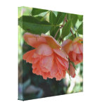 Romantic Peach Roses Canvas Print