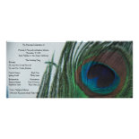 Romantic Peacock Wedding Program Rack Card