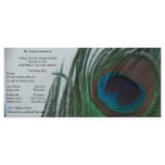 Romantic Peacock Wedding Program Rack Card