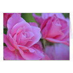 Romantic Pink Rose Floral Greeting Card