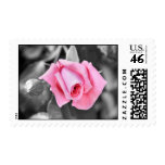 Romantic pink rose Wedding or Valentine Postage Stamp