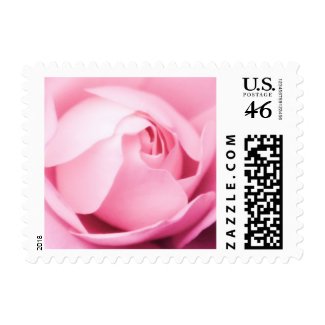Romantic pink rose wedding postage stamp