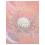 Romantic Red Poppy Flower Letterhead