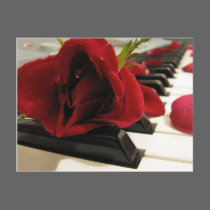 Romantic Red Rose Love postcards