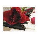 Romantic Red Rose Love postcards