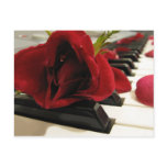 Romantic Red Rose Love Post Cards