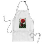 Romantic Red Roses 1 Romantic Red Roses 1