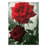 Romantic Red Roses 1 Romantic Red Roses 1