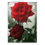 Romantic Red Roses 1
