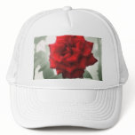 Romantic Red Roses 1 Romantic Red Roses 1