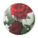 Romantic Red Roses 1 Romantic Red Roses 1