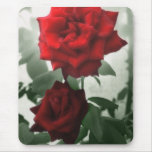 Romantic Red Roses 1 Romantic Red Roses 1