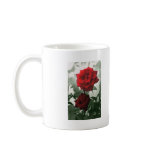 Romantic Red Roses 1 Romantic Red Roses 1