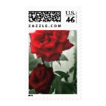 Romantic Red Roses 1 Romantic Red Roses 1