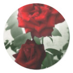 Romantic Red Roses 1 Romantic Red Roses 1