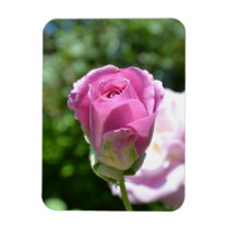 Romantic Rose Bud premium magnets