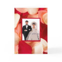 Romantic Rose Petal Photo Frame Cards