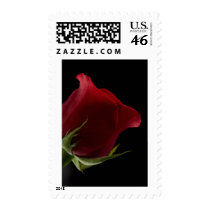 Romantic Rose Stamps