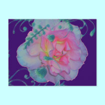 Romantic Rose postcards