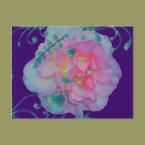 Romantic Rose postcards