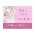Romantic Rose Save the Date Postcard by SquirrelHugger Romantic Rose Save the Date Postcard