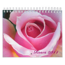 Romantic Roses 2011 Calendar