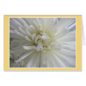 Romantic Spray cards by MDBerry Romantic Spray cards