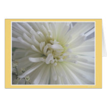 Romantic Spray cards by MDBerry Romantic Spray cards