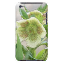 Romantic Spring Flowers - Hellebores! Barely There iPod Cases