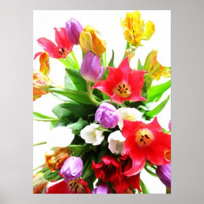 Romantic Spring Tulip Flowers Posters