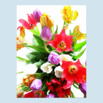Romantic Spring Tulip Flowers posters
