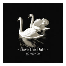 Romantic Swans - Save the date announcement