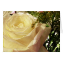 Romantic white rose cards