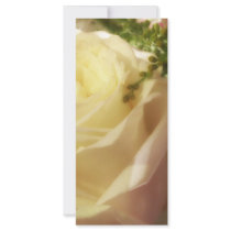 Romantic white rose rack cards
